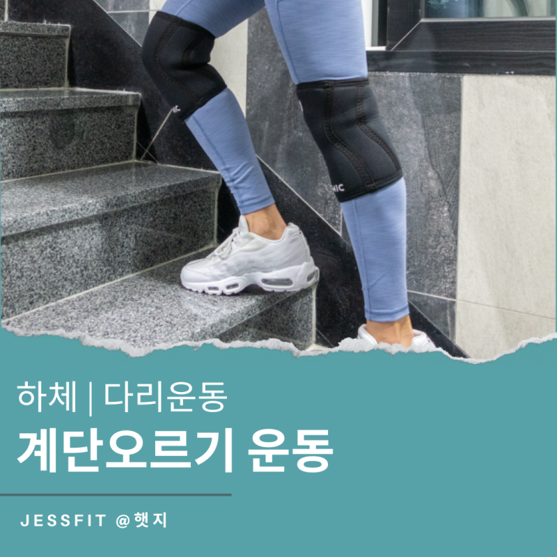 아파트 계단오르기 효과/칼로리/다이어트/자세 운동방법 하체 다리운동 : 네이버 블로그 아파트 계단오르기 효과/칼로리/다이어트/자세 운동방법 하체 다리운동 : 네이버 블로그