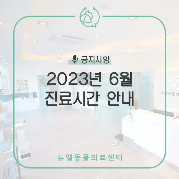  [화성/2동탄/동탄역 동물병원] 뉴엘동물의료센터 6월 진료 시간 안내 및 예약진료 안내
