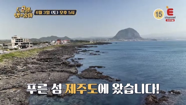 토요일은밥이좋아 토밥 75회 토밥즈 제주도6미 제주 영식투어 보말죽집 보말요리전문점 묵은지고등어쌈밥집 고등어조림 전복돌솥밥 숙성흑돼지양념갈비 흑돼지갈빗집