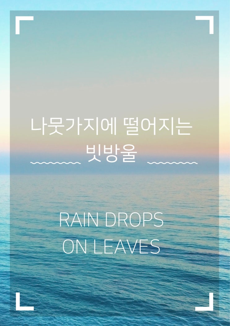  나뭇가지에 떨어지는 빗방울