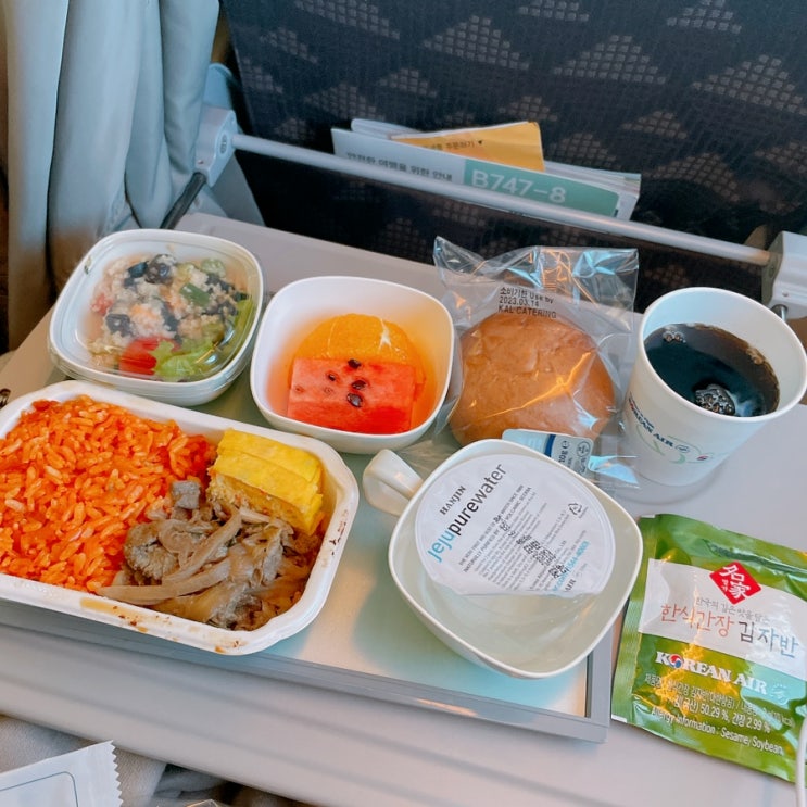  [뉴욕 여행] ICN-JFK 뉴욕 가는 대한항공 이코노미 후기(좌석 간격/기내식)