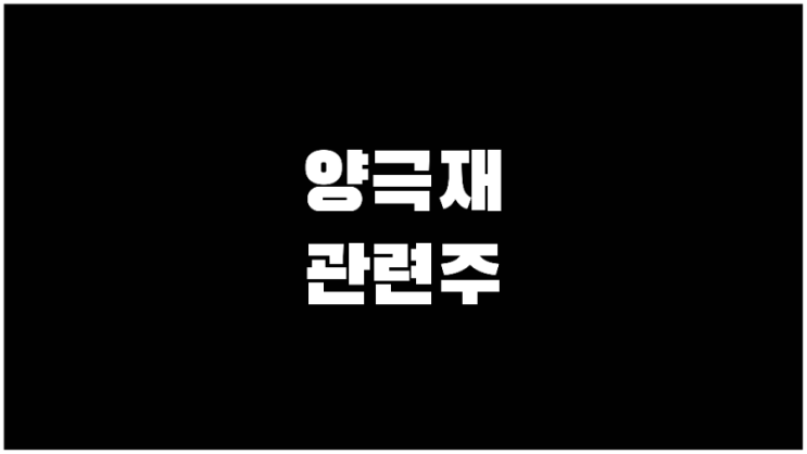 전기차 2차전지 양극재 관련주 대장주 수혜주 정리 TOP7