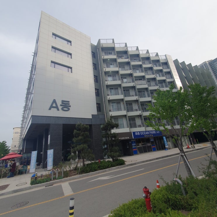  속초오션비치 숙박 예약 후기와 매매 의뢰
