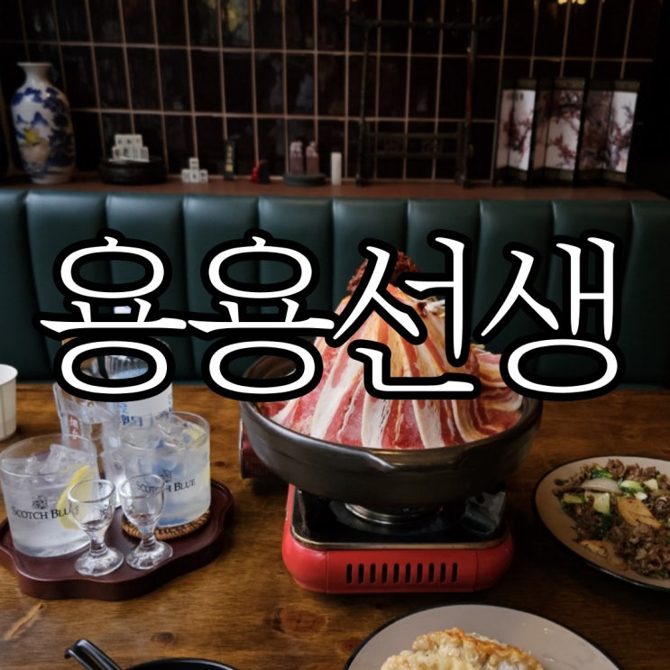 창원상남동술집 홍콩 분위기의 마라전골맛집 용용선생 창원상남점