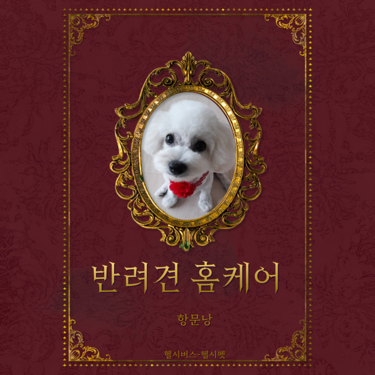  운동하는 강아지 헬시펫- 홈케어 항문낭편
