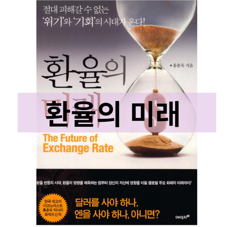  환율의 미래  (홍춘욱 저)