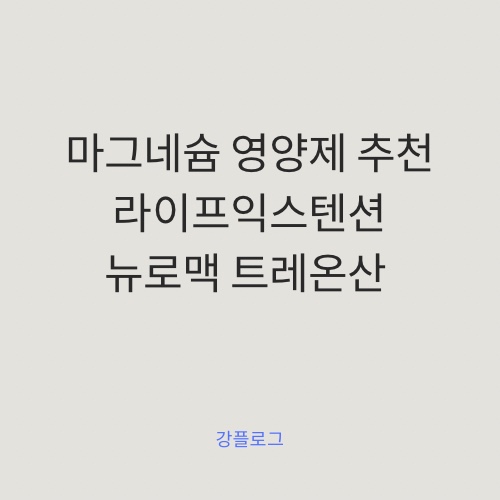 마그네슘추천 영양제 라이프익스텐션 뉴로맥 트레온산 90베지 캡슐 후기