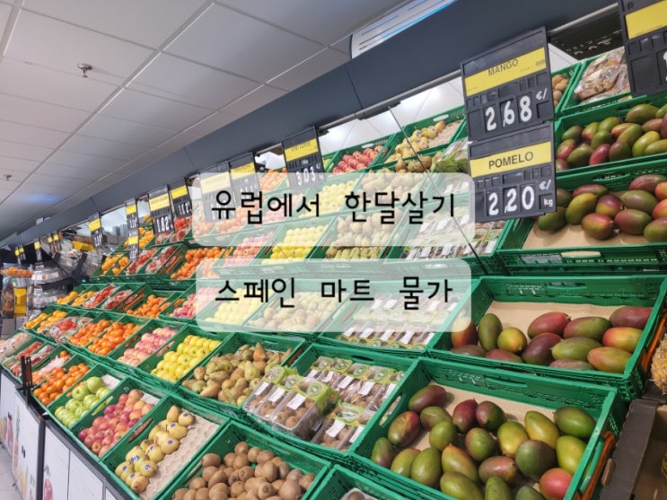  [스페인 한달살기] 마트 슈퍼마켓 메르까도나 Mercadona 마스 Mas 둘러보기 (스페인 장보기, 물가, 추천상품)