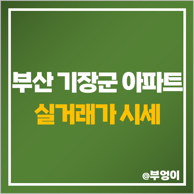 부산 기장군 아파트 매매 가격 순위 : 실거래가 및 평당 제일 비싼 부동산 시세 (일광 신도시 비스타 동원, 정관 신동아 파밀리에)