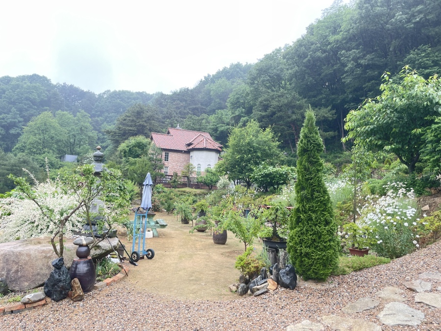 추풍령해물탕 사진 5