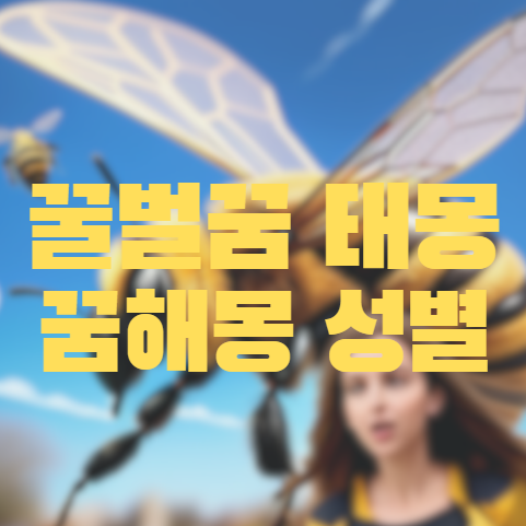 임신 전 꾼 태몽 꿀벌꿈 벌꿈해석 성별