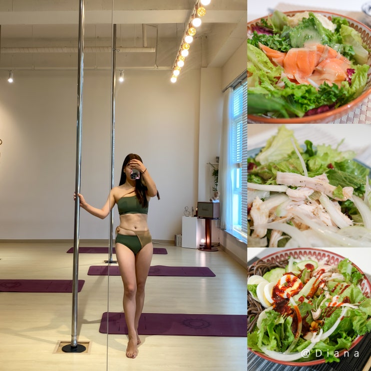 단기간다이어트 식단 체지방 줄이는법 후기 단기간다이어트 식단 체지방 줄이는법 후기