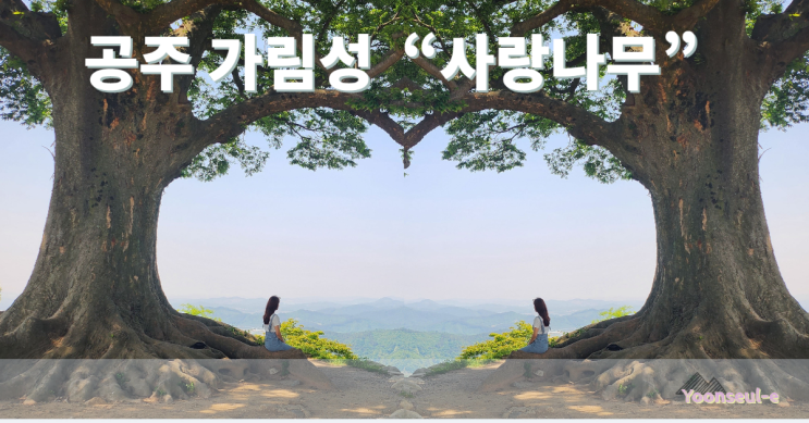  공주 가림성 "사랑나무"