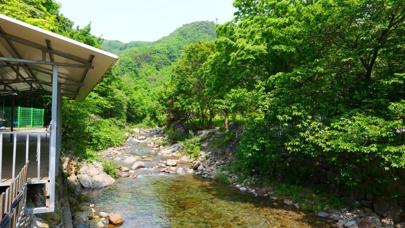 전남 가볼만한곳 : 광양 어치계곡 백운산 구시폭포 물놀이 : 네이버 블로그