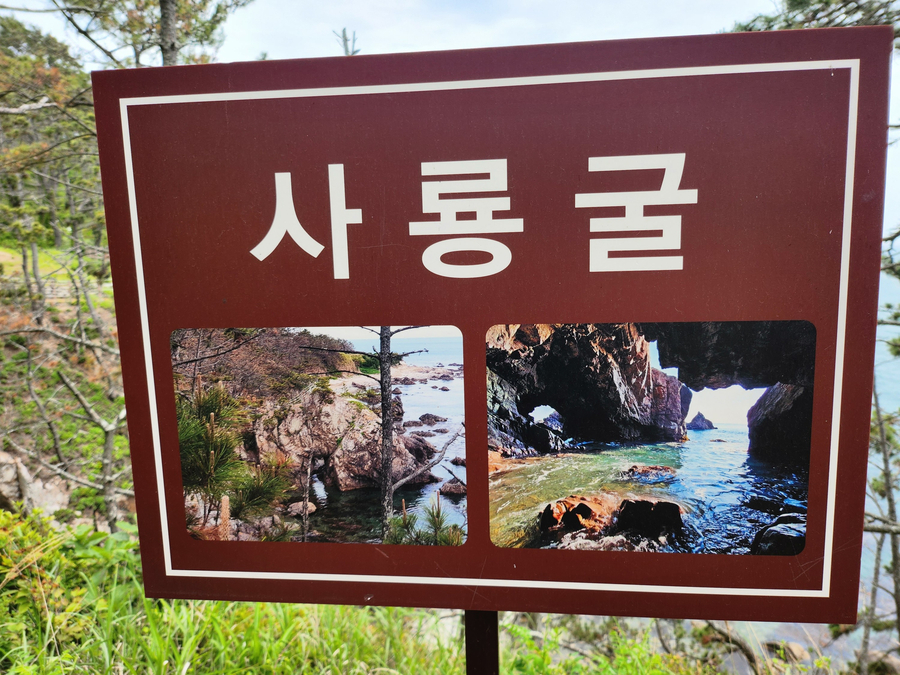 [경주 여행코스]2박3일 경주 여행코스(감포항 전촌항 용굴 동굴 경주 맛집 시장 해국길 경주 가볼만한곳 사진찍기좋은곳) 관련 사진