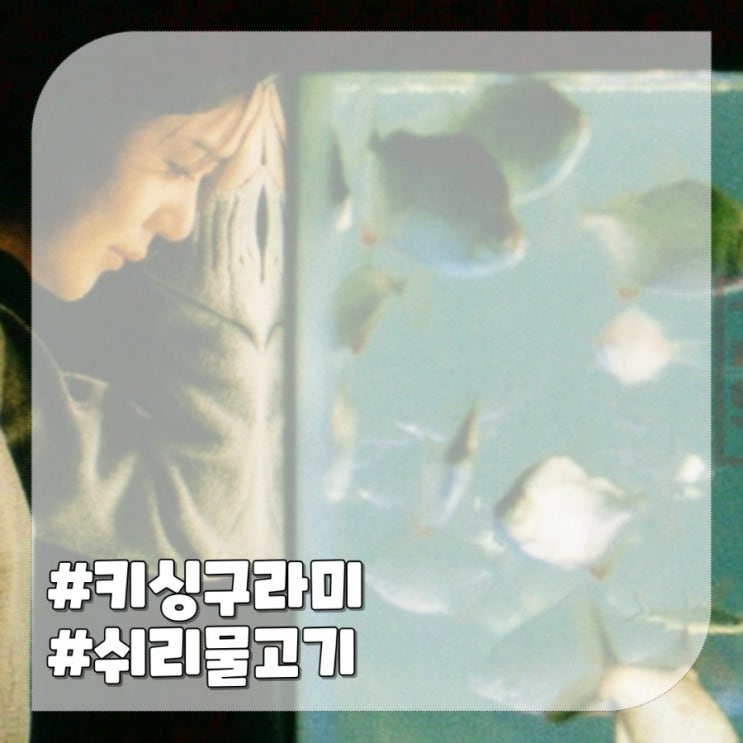  키싱구라미:영화 쉬리 속 물고기 기본정보,특징