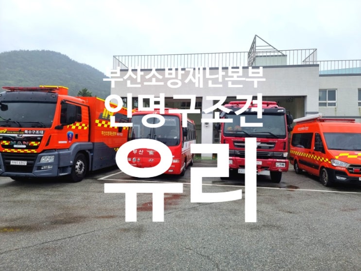 부산소방재난본부 특구대 인명<b>구조견</b> 유리 보고 왔어요.... 