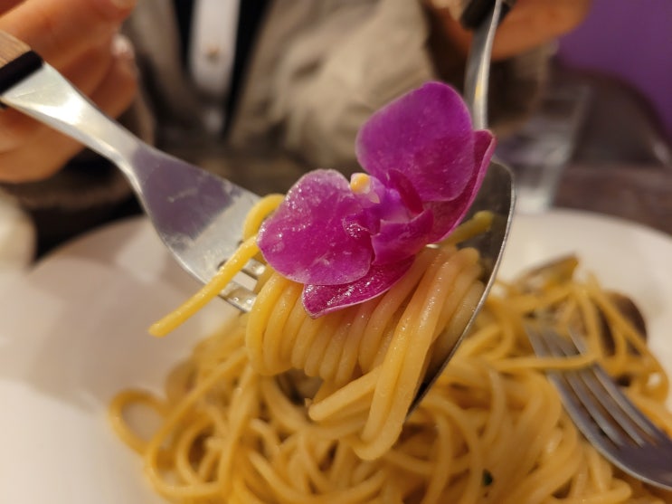  포천 송우리 맛집 다비드 비스트로 최고 파스타 맛집