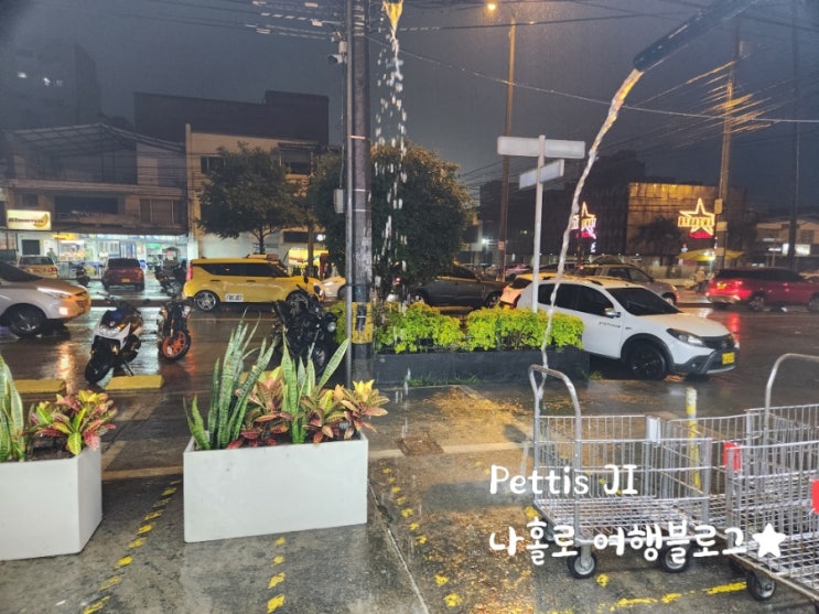 콜롬비아 메데인 라우렐레스 80 일상