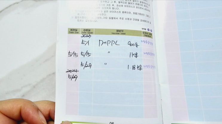 4개월 네티 강아지 예방접종 벌써 5차