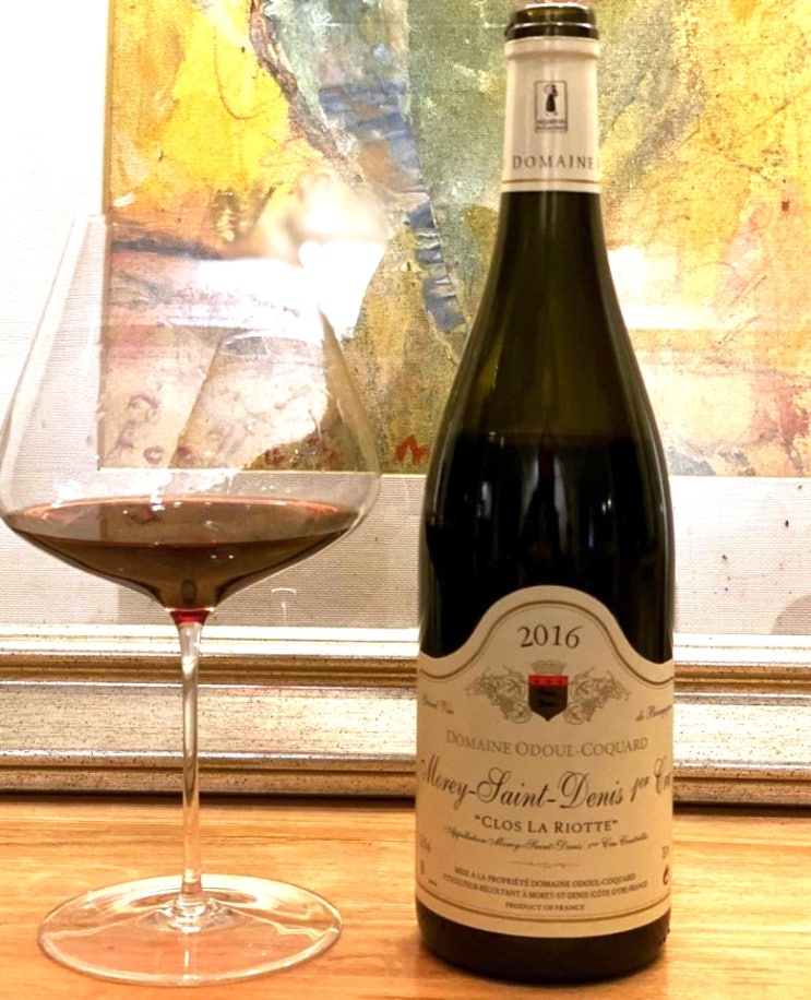  [프랑스] Domaine Odoul-Coquard Morey-Saint-Denis 1er Cru 'Clos La Riotte' 2016 - 도도하다