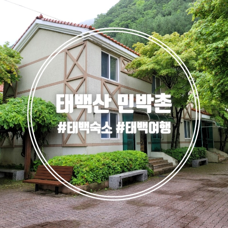 강원 태백여행 가성비 숙소 추천 태백산국립공원 '태백산 민박촌' (6인실 복층 이용후기)