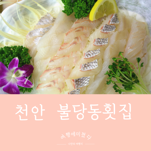  회사횟집 천안 불당동 분위기좋은 활어회전문 불당동횟집