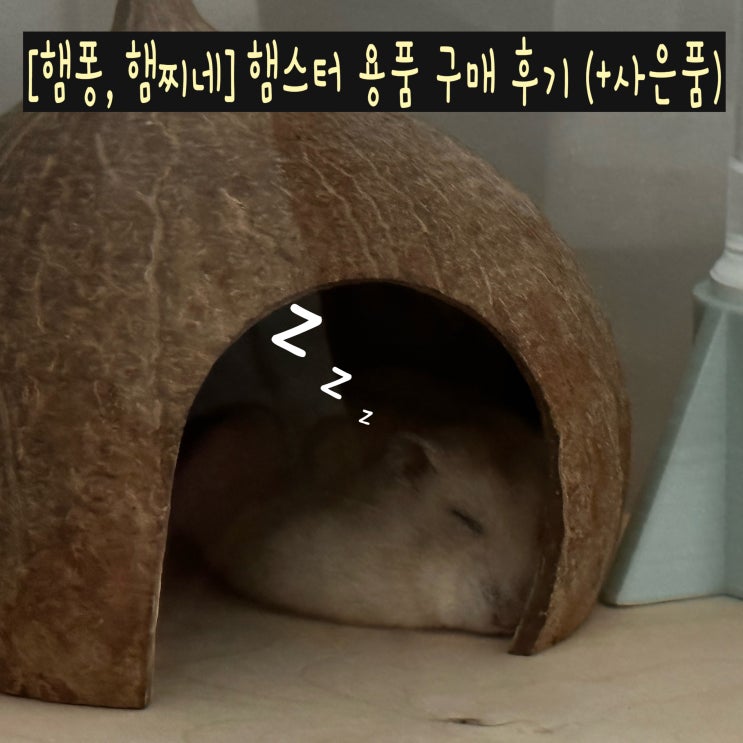  [햄퐁,햄찌네/햄스터 용품] 햄스터 용품 구매 후기 (+ 사은품 구성)