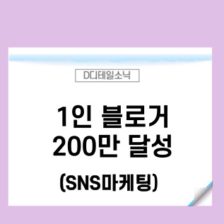  1인 블로거로 누적 방문자수 200만명 달성(SNS마케팅 네이버 블로그운영)