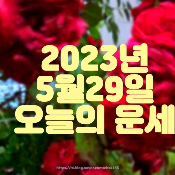  2023년 5월 29일 띠 별로 보는 오늘의 운세