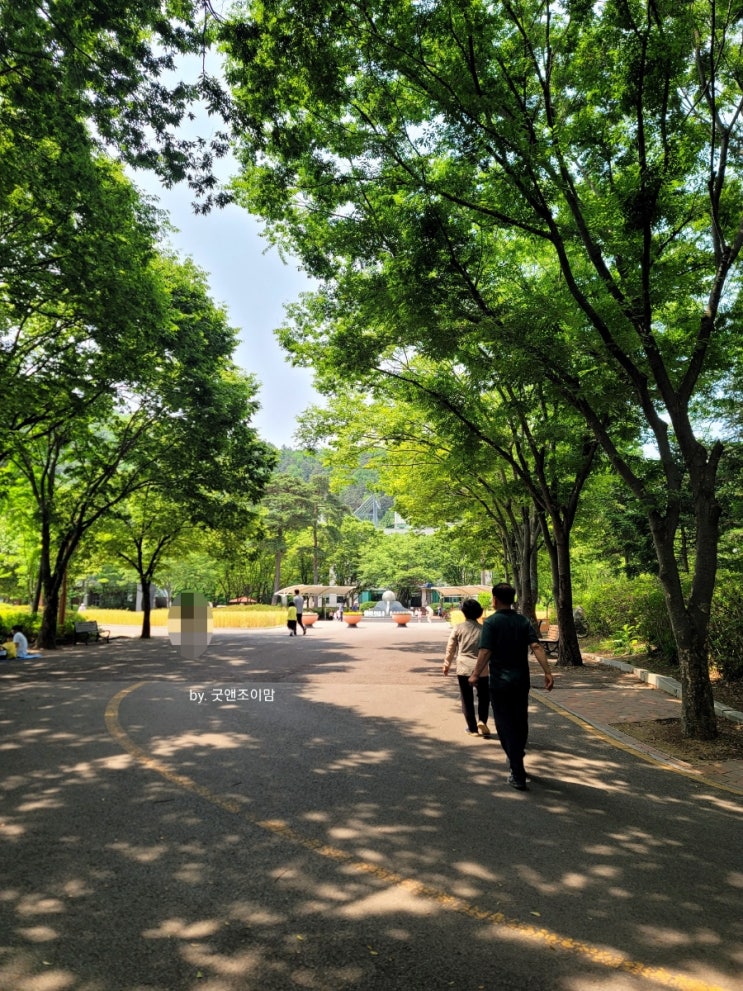 일상기록_5살 차이 자매, 구미 결혼식 참석, 생일 만찬, 대곡동 대구수목원 산책과 수목원커피, 속리산 휴게소 점심 일상기록_5살 차이 자매, 구미 결혼식 참석, 생일 만찬, 대곡동 대구수목원 산책과 수목원커피, 속리산 휴게소 점심