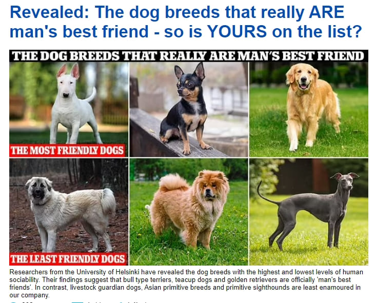 인간과 가장 친근한 강아지 품종은 VIDEO: The dog breeds that really ARE man's best friend