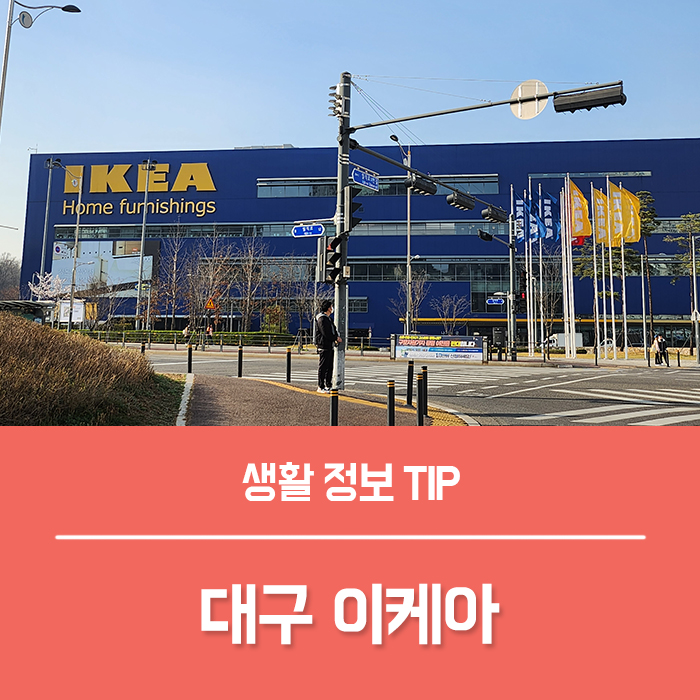  대구 이케아 진행 상황, 준공일 대구 이케아 위치는?