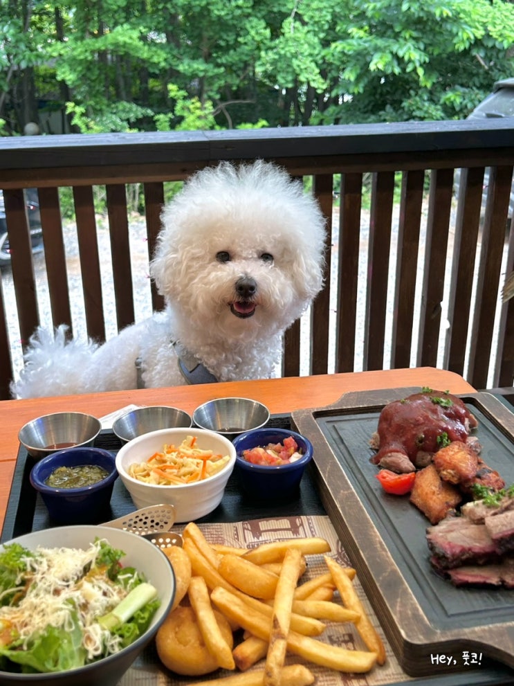  팔공산 애견동반 식당 모닥 텍사스바베큐 대구 근교 드라이브 맛집이네!