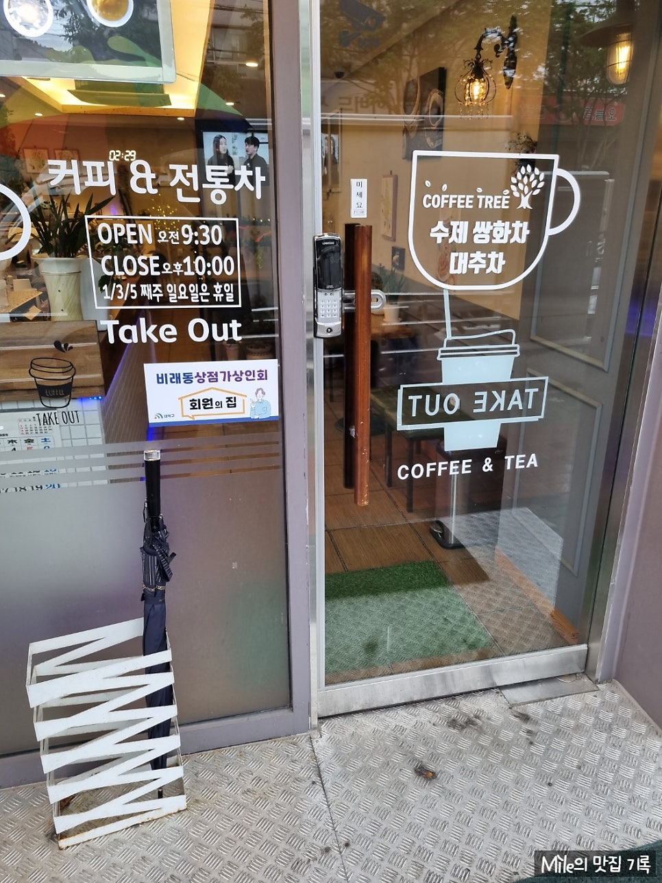 커피트리 사진 2