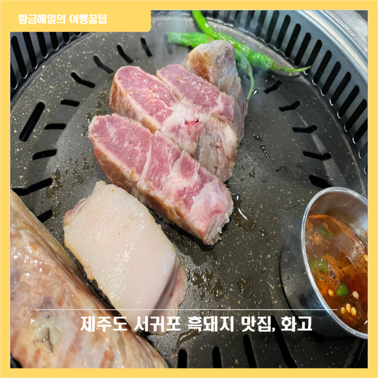 제주 서귀포 화고, 흑돼지 맛집 추천!