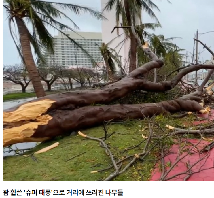 <b>괌에</b> 태풍 '마와르'로 발묶였던 <b>관광객</b> 귀국길…국적기 11편... 