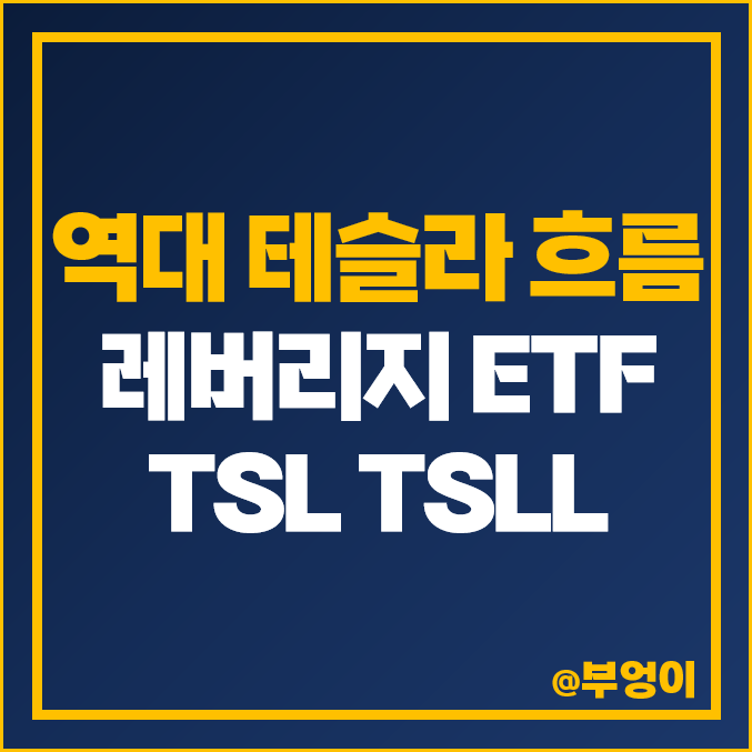 테슬라 주식 레버리지 미국 ETF - TSL, TSLL 주가, 배당 수익률 (TSLA 관련주 투자)