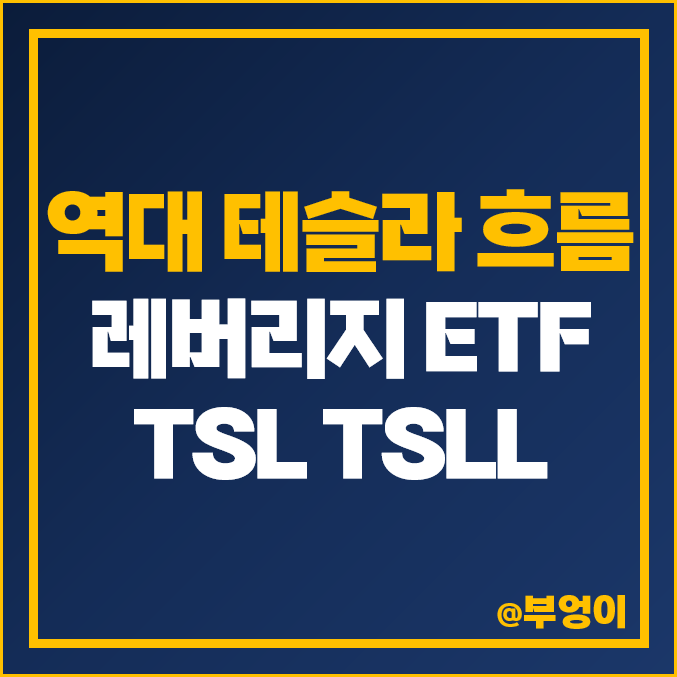 테슬라 주식 레버리지 미국 ETF - TSL, TSLL 주가, 배당 수익률 (TSLA 관련주 투자) 테슬라 주식 레버리지 미국 ETF - TSL, TSLL 주가, 배당 수익률 (TSLA 관련주 투자)