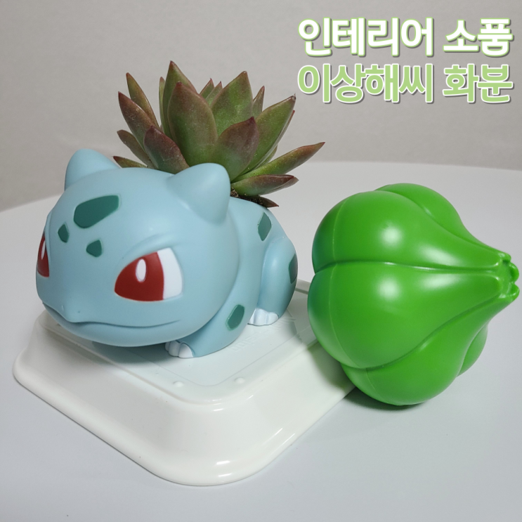  [인테리어 소품] "이상해씨 화분" :: 배스킨라빈스 피규어, 다육식물 화분, 다육이 화분 꾸미기