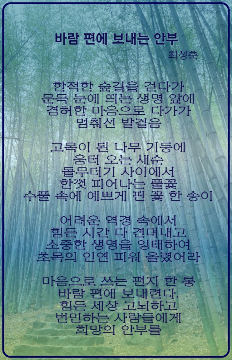  위로가 되는 최성춘 바람 편에 보내는 안부