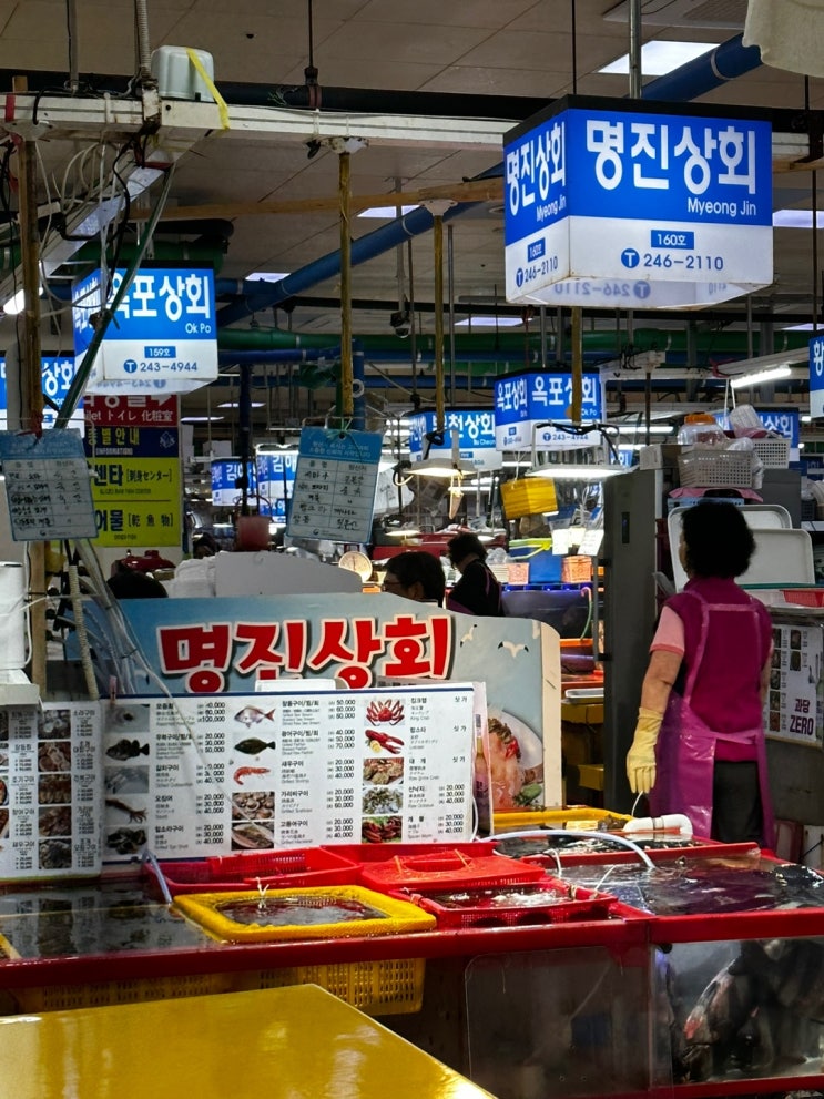  자갈치 신동아시장 '경남상회' 숙성 도미회 후기 (내돈내산)