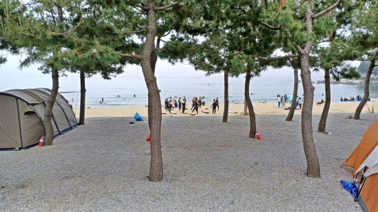  강원도 양양 바닷가 백사장 앞 죽도해변 노지 캠핑 야영장