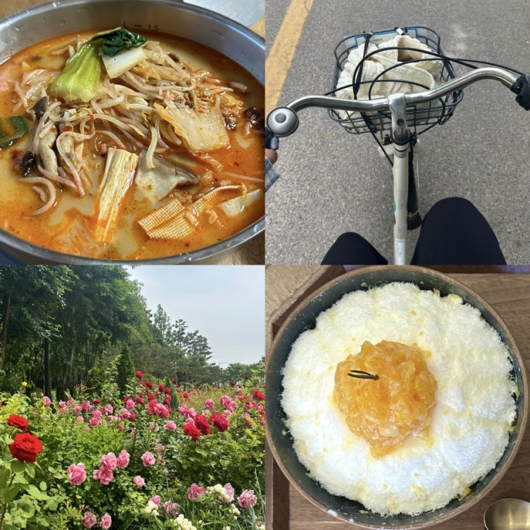 맛있는 거 먹고 바람 쐰 주말 feat. 마라탕, 한라봉요거트빙수, 망원동 장미