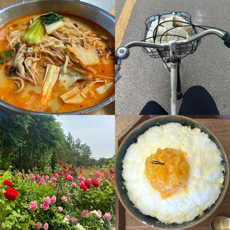  맛있는 거 먹고 바람 쐰 주말 feat. 마라탕, 한라봉요거트빙수, 망원동 장미