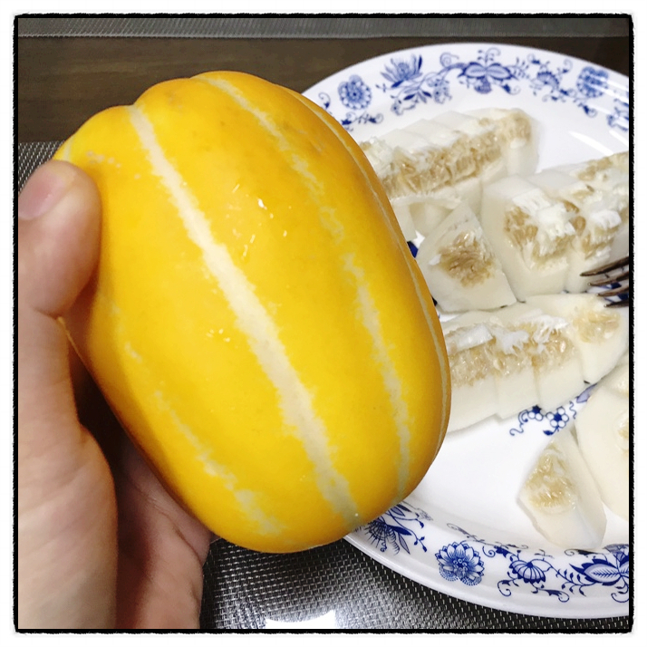 성주참외 옥순농장 스테비아참외 성주샤인참외 맛 리뷰 성주참외 옥순농장 스테비아참외 성주샤인참외 맛 리뷰