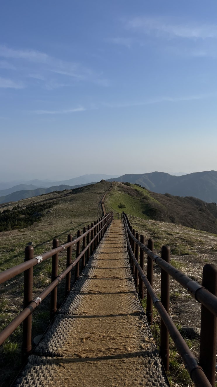  [나홀로 야간산행] 산들의 어머니, 소백산 품으로2