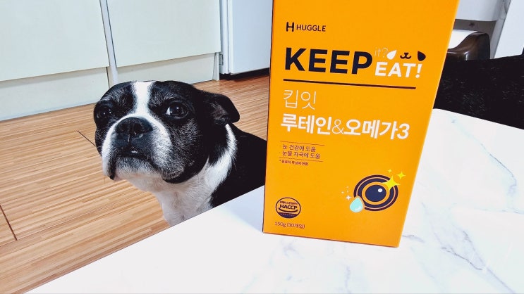 강아지눈영양제 허글 킵잇 루테인&오메가3 기호성까지 잡았다