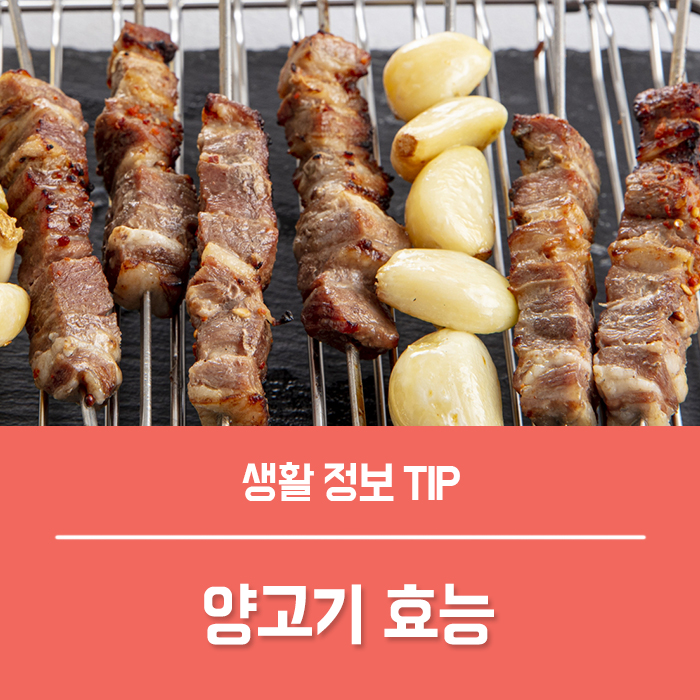 양고기 효능 TOP4, 칼로리 부작용은?