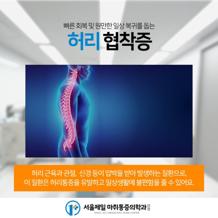 서울 허리협착증 더 늦기 전에 근본치료 하고싶다면